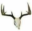 Hunters Specialties Mount Kit Full Skull Deer Walnut Model: 01638
